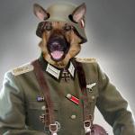 Nazi dog meme
