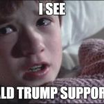 i see dead people | I SEE; DONALD TRUMP SUPPORTERS | image tagged in i see dead people | made w/ Imgflip meme maker