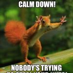 MAYOR OF REDSQUIRREL | CALM DOWN! CALM DOWN! NOBODY'S TRYING TO STEAL YOUR NUTS! | image tagged in red squirrel | made w/ Imgflip meme maker