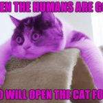 Deep RayThoughts | WHEN THE HUMANS ARE GONE; WHO WILL OPEN THE CAT FOOD? | image tagged in raycat stare,memes | made w/ Imgflip meme maker
