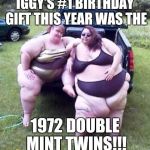 Fat girl's on a truck | IGGY'S #1 BIRTHDAY GIFT THIS YEAR WAS THE; 1972 DOUBLE MINT TWINS!!! | image tagged in fat girl's on a truck | made w/ Imgflip meme maker