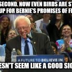 Sanders birdie | WAIT A SECOND. NOW EVEN BIRDS ARE STARTING TO SHOW UP FOR BERNIE'S PROMISES OF FREE STUFF? THAT DOESN'T SEEM LIKE A GOOD SIGN TO ME. | image tagged in sanders birdie | made w/ Imgflip meme maker
