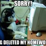 dog on computer | SORRY! DOG DELETED MY HOMEWORK. | image tagged in dog on computer | made w/ Imgflip meme maker