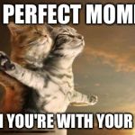 catslovers | THE PERFECT MOMENT; WHEN YOU'RE WITH YOUR BABY | image tagged in catslovers | made w/ Imgflip meme maker