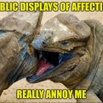 LIP LOCKED LIZARDS | PUBLIC DISPLAYS OF AFFECTION; REALLY ANNOY ME | image tagged in lip locked lizards | made w/ Imgflip meme maker