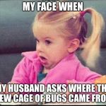 My face when | MY FACE WHEN; MY HUSBAND ASKS WHERE THE NEW CAGE OF BUGS CAME FROM | image tagged in my face when | made w/ Imgflip meme maker