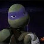 Donatello meme