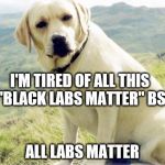 Lab | I'M TIRED OF ALL THIS "BLACK LABS MATTER" BS; ALL LABS MATTER | image tagged in lab | made w/ Imgflip meme maker