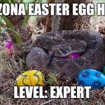 snake | ARIZONA EASTER EGG HUNT; LEVEL: EXPERT | image tagged in snake | made w/ Imgflip meme maker