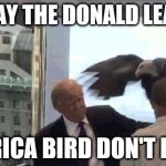 'murica bird trump | THE DAY THE DONALD LEARNED; 'MURICA BIRD DON'T PLAY! | image tagged in 'murica bird trump | made w/ Imgflip meme maker