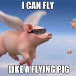 flying pigs | I CAN FLY; LIKE A FLYING PIG | image tagged in flying pigs | made w/ Imgflip meme maker