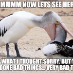 Pelican Checkup | HMMMMM NOW LETS SEE HERE... YEP WHAT I THOUGHT SORRY, BUT YOU HAVE DONE BAD THINGS... VERY BAD THINGS | image tagged in pelican checkup | made w/ Imgflip meme maker