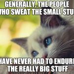 It is when the storm finally breaks, that you can truly appreciate the ripples
 | GENERALLY, THE PEOPLE WHO SWEAT THE SMALL STUFF; HAVE NEVER HAD TO ENDURE THE REALLY BIG STUFF | image tagged in sad cat,memes | made w/ Imgflip meme maker