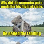 Rising in his profession | Why did the carpenter get a medal for his flight of stairs; He nailed the landing | image tagged in bad pun ostrich | made w/ Imgflip meme maker
