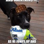 scumbag dog | MAKES EYE CONTACT AND MAINTAINS IT... AS HE JUMPS UP AND SNATCHES MY BBQ SANDWICH OFF MY PLATE. | image tagged in scumbag dog,scumbag | made w/ Imgflip meme maker