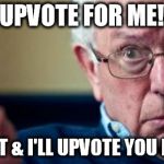 Bernie Panders | UPVOTE FOR ME! COMMENT & I'LL UPVOTE YOU FOR FREE! | image tagged in bernie sanders,upvote,upvotes,free,let's raise their taxes,tax | made w/ Imgflip meme maker