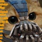 Bane Cat | Ah you think the Laser pointer is your alley. You nearly adopted the laser pointer. I was born with it, molded by it. I didn't catch it until I was already a cat. By then it was nothing to me but tempting. | image tagged in bane cat | made w/ Imgflip meme maker