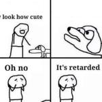 Retarded dog