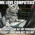 computer cat | ME LOVE COMPUTERS; BECAUSE I CAN GET MY PERSONS CREDIT CARD AND BUY CAT NIP | image tagged in computer cat | made w/ Imgflip meme maker