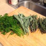laid-back herbs