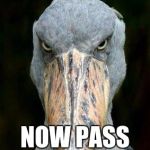 Scary bird | I AM THE STORK; NOW PASS OVER THE KID | image tagged in scary bird | made w/ Imgflip meme maker