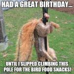 Happy Birthday Nuts | HAD A GREAT BIRTHDAY... UNTIL I SLIPPED CLIMBING THIS POLE FOR THE BIRD FOOD SNACKS! | image tagged in happy birthday nuts | made w/ Imgflip meme maker