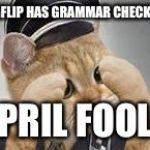 Grammar Cat Ooops | IMGFLIP HAS GRAMMAR CHECKER? APRIL FOOLS | image tagged in grammar cat ooops,memes | made w/ Imgflip meme maker