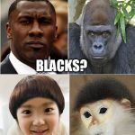 Who's offended? | WHITES? BLACKS? ASIANS? EVOLUTIONISTS? | image tagged in who's offended | made w/ Imgflip meme maker