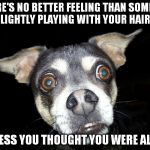 THERE'S NO BETTER FEELING THAN SOMEONE LIGHTLY PLAYING WITH YOUR HAIR; UNLESS YOU THOUGHT YOU WERE ALONE | image tagged in scared dog | made w/ Imgflip meme maker