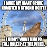 Giant Space Hamster Wheel | I MADE MY GIANT SPACE HAMSTER A STRONG COFFEE; I DIDN'T WANT HIM TO FALL ASLEEP AT THE WHEEL | image tagged in giant hamster wheel,giant space hamster,london eye,spelljammer | made w/ Imgflip meme maker