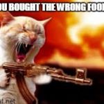 Cat Gone Crazy | YOU BOUGHT THE WRONG FOOD!! | image tagged in cat gone crazy | made w/ Imgflip meme maker