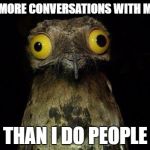 Crazy eyed bird | I HAVE MORE CONVERSATIONS WITH MY CATS; THAN I DO PEOPLE | image tagged in crazy eyed bird | made w/ Imgflip meme maker