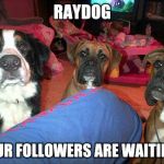 Raydog where are you? | RAYDOG; YOUR FOLLOWERS ARE WAITING! | image tagged in dogs,raydog | made w/ Imgflip meme maker