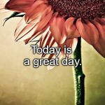 Strong by Necessity, Sweet by nature | Today is a great day. | image tagged in strong by necessity sweet by nature | made w/ Imgflip meme maker