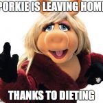 Miss Piggy | PORKIE IS LEAVING HOME; THANKS TO DIETING | image tagged in miss piggy | made w/ Imgflip meme maker