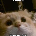 Mmmcats | I'M AT 19911 POINTS; HELP ME GET TO 20K PLEASE? | image tagged in mmmcats | made w/ Imgflip meme maker