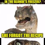 Bad Pun Phillosiraptor | WHY ARE THERE  NO ICE CUBES IN THE BLONDE'S FREEZER? SHE FORGOT THE RECIPE | image tagged in bad pun phillosiraptor | made w/ Imgflip meme maker