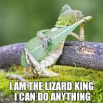 Lizard Music | I AM THE LIZARD KING I CAN DO ANYTHING | image tagged in lizard music | made w/ Imgflip meme maker