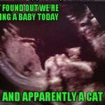 So this is how cat lovers/haters are born. | JUST FOUND OUT WE'RE HAVING A BABY TODAY AND APPARENTLY A CAT | image tagged in fetus cat ultrasound,ultrasound,memes,cat in the womb,funny,baby | made w/ Imgflip meme maker