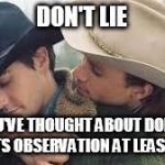 Brokeback Mountain | DON'T LIE; YOU'VE THOUGHT ABOUT DOING A VOLTS OBSERVATION AT LEAST ONCE | image tagged in brokeback mountain | made w/ Imgflip meme maker