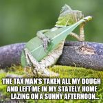 This always comes to mind when I see this picture... | THE TAX MAN'S TAKEN ALL MY DOUGH AND LEFT ME IN MY STATELY HOME      LAZING ON A SUNNY AFTERNOON... | image tagged in lizard music,memes,music,the kinks,sunny afternoon,60s music | made w/ Imgflip meme maker