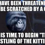 Emperor Rustling | I HAVE BEEN THREATENED TO BE SCRATCHED BY A CAT; IT IS TIME TO BEGIN "THE RUSTLING OF THE KITTIES" | image tagged in emperor rustling,memes,rustle my jimmies | made w/ Imgflip meme maker