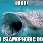 whale shark | LOOK! AN ISLAMOPHOBIC DOG! | image tagged in whale shark | made w/ Imgflip meme maker