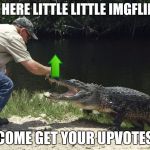 Y'all know its true | COME HERE LITTLE LITTLE IMGFLIPPERS; COME GET YOUR UPVOTES | image tagged in come here x come get your x,imgflippers | made w/ Imgflip meme maker
