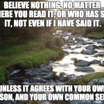 Serenity Ireland | BELIEVE NOTHING, NO MATTER WHERE YOU READ IT, OR WHO HAS SAID IT, NOT EVEN IF I HAVE SAID IT. UNLESS IT AGREES WITH YOUR OWN REASON, AND YOUR OWN COMMON SENSE. | image tagged in serenity ireland | made w/ Imgflip meme maker