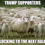 Isis match | TRUMP SUPPORTERS; FLOCKING TO THE NEXT RALLY | image tagged in isis match | made w/ Imgflip meme maker