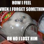 cat jar | WHEN I FORGET SOMETHING; HOW I FEEL; OH NO I LOST HIM | image tagged in cat jar | made w/ Imgflip meme maker