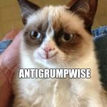 Happy grumpy cat | ANTIGRUMPWISE | image tagged in happy grumpy cat | made w/ Imgflip meme maker