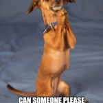 Begging dog | CAN SOMEONE PLEASE TELL ME HOW TO ADD TEXT COMMENTS OUTSIDE MY MEMES | image tagged in begging dog | made w/ Imgflip meme maker