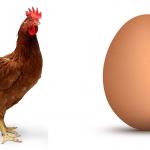 Chicken and egg meme